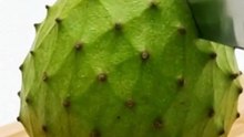 ASMR Cutting Soursop 🍈 | Relaxing Fruit Sounds & Tropical Vibes