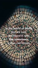 The Rise of Mr. & Mrs. Mafia Dramabox