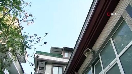 İstanbul'da çocuk cinayeti: 13 yaşındaki çocuk arkadaşının dedesini öldürdü