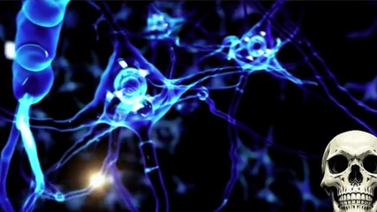 The Secret Science of How We Think — Mind Psychology Explained