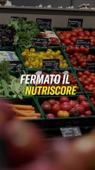 Lollobrigida - L’Italia più forte in Europa 🇮🇹 (07.11.25)