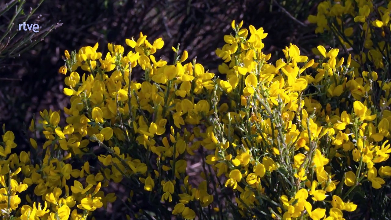 Extremadura, por los valles del norte cacereño