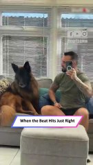 German Shepherd Sings Along to Music! Adorable Howling Dog 🎤🐶|| Heartsome 💖