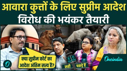 Supreme Court में Stray Dogs के वकील के तर्क, Activist सड़कों पर बवाल को तैयार | Exclusive