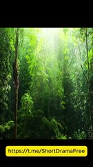 I Had a Baby without You USA #ReelShort