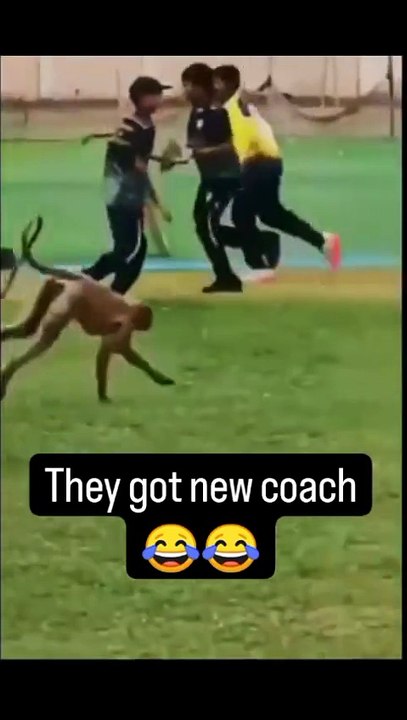 Try not to laugh