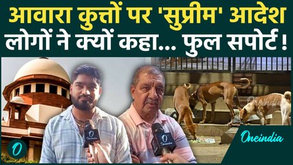 Supreme Court Stray Dogs Order: सुप्रीम कोर्ट का आदेश बिल्कुल सही... लोगों ने ऐसा क्यों कहा जानिए!