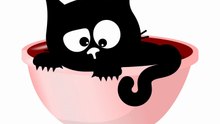 SERDAR ŞİMŞEK MÜZİKLİ KOMİK KEDİ KARİKATÜRLERİ