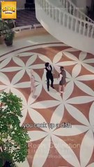 Misplaced Love Full Short Drama I Best Romance Love Hot ShortFilms 2025