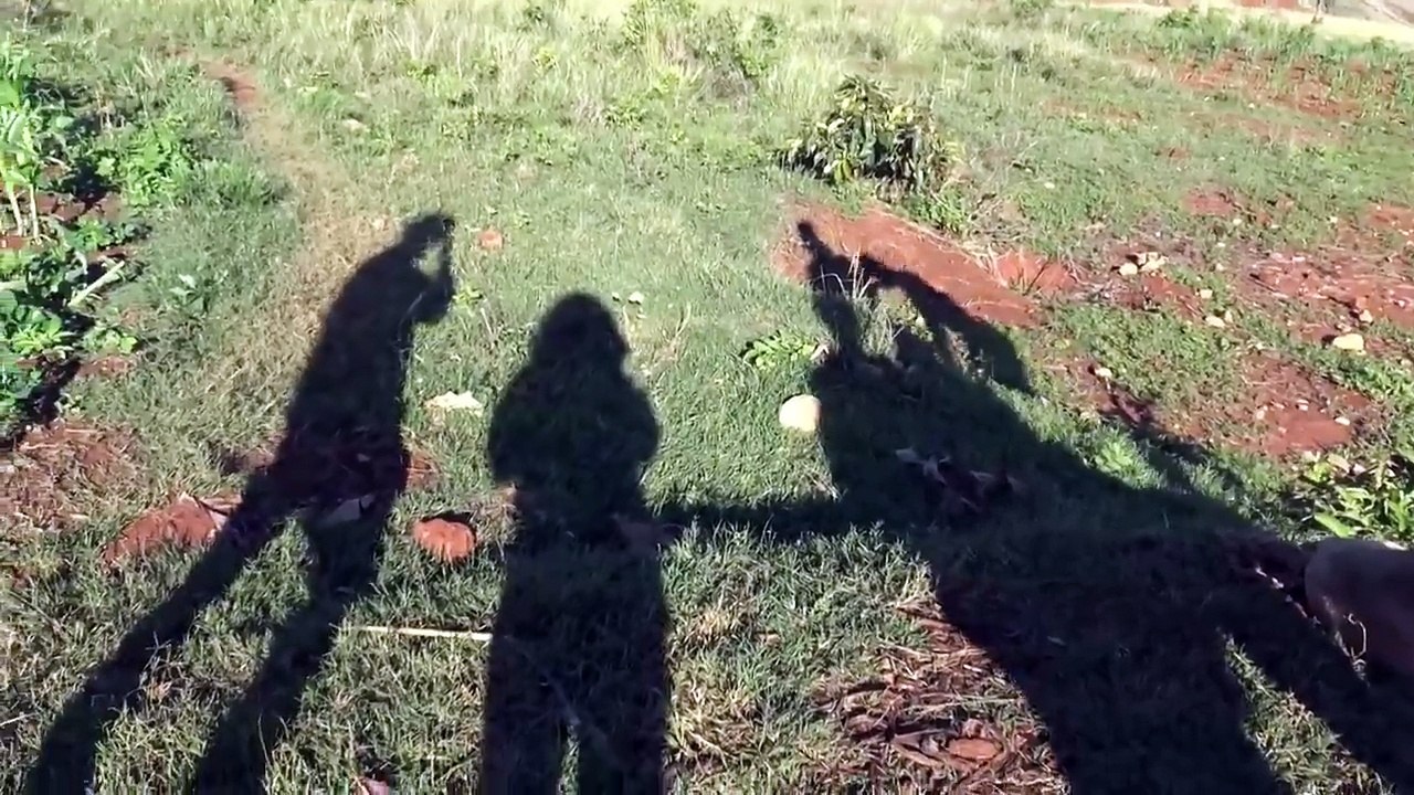 24h sans activité : mon record personnel chez des inconnus