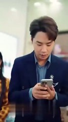 Her womb, their grave / Misguided Hearts