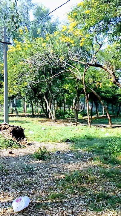 Lots of Nature | Explore the beauty of Nature | Nature with Amit