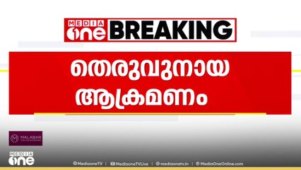 റഷ്യക്കാരിയെ തെരുവുനായ കടിച്ചു...