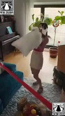 Big Bad Daddy You're Busted (2025) - FULL [Eng Sub]