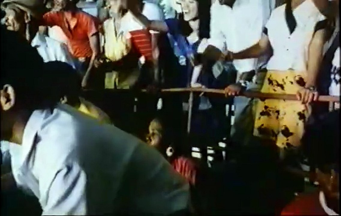 Ein Mann geht durch die Hölle - Stryker 2