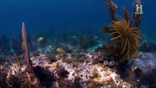 La storia proibita - Misteri nel triangolo delle Bermuda