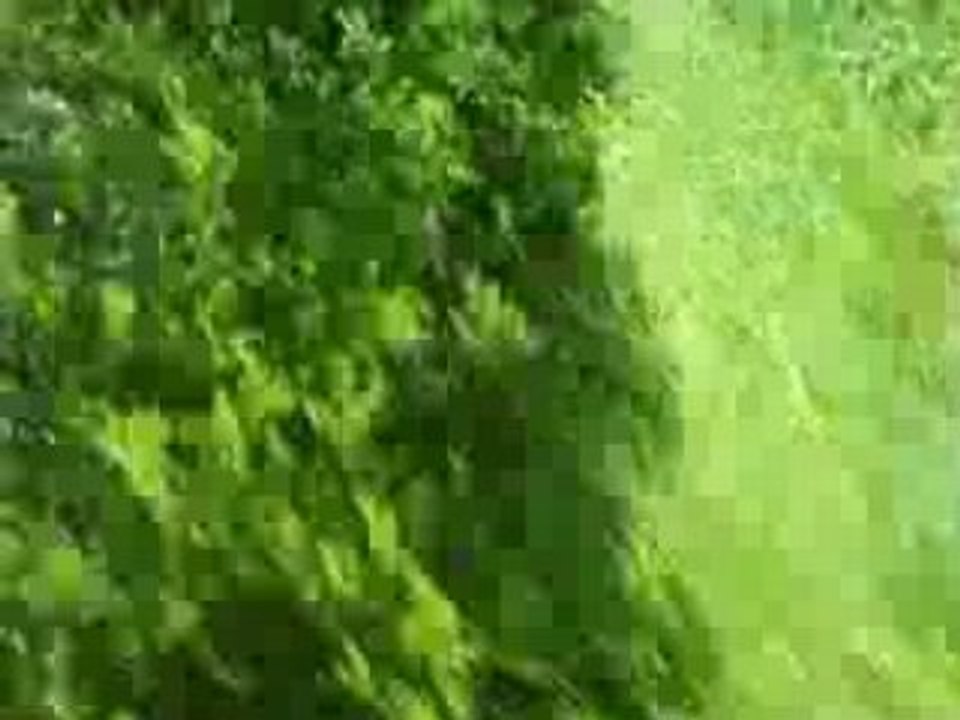 saute la barière