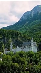 Widow to Queen The Alpha's Resurrection Full Movie