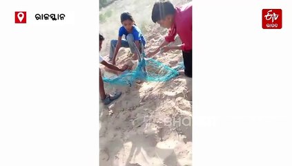 ଜାଲରେ ଫସିଥିବା ହରିଣକୁ ମୁକ୍ତ କଲେ କୋମଳମତି ପିଲା, ଛୁଟୁଛି ପ୍ରଶଂସା