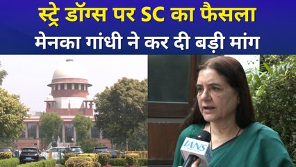 सुप्रीम कोर्ट का आवारा कुत्तों पर बड़ा फैसला, मेनका गांधी ने की ये मांग 
