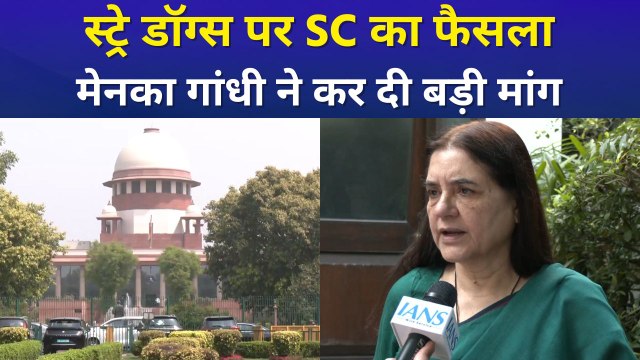 सुप्रीम कोर्ट का आवारा कुत्तों पर बड़ा फैसला, मेनका गांधी ने की ये मांग 