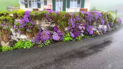 Beautiful rain walking tour in Gimmelwald  A Swiss village 2023
