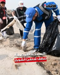 الجمعية الكويتية لحماية البيئة نظمت بالتعاون مع الجمعية اليابانية في الكويت النسخة 26 لعملية «السلاحف البحرية»  بشاطئ الشويخ