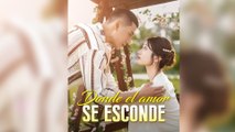 Donde el amor se esconde (Doblado) en Español