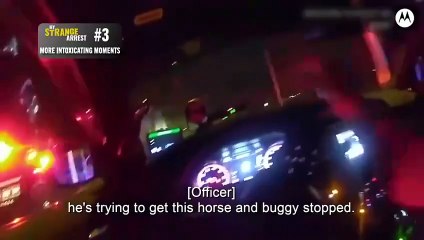 My Strange Arrest S03E101 (special) Top 5: More Intoxicating Moments