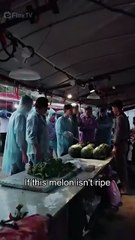 Seeds Of Power Fruits Of Fury – FULL HD MOVIE [Eng Sub]