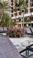 Torchlight attraction at a beachside resort