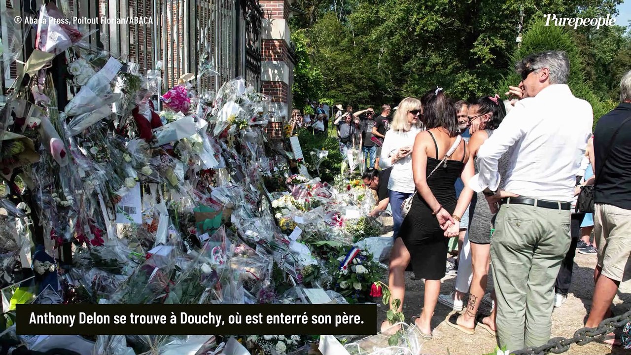 Alain Delon aurait soufflé ses 90 bougies : pour l'occasion, ses enfants Anthony et Anouchka partagent un message symbolique