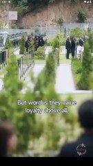 Spoiled by the Sweetest Trouble Chinese Drama