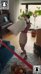 Big Bad Daddy You're Busted (2025) - FULL [Eng Sub]