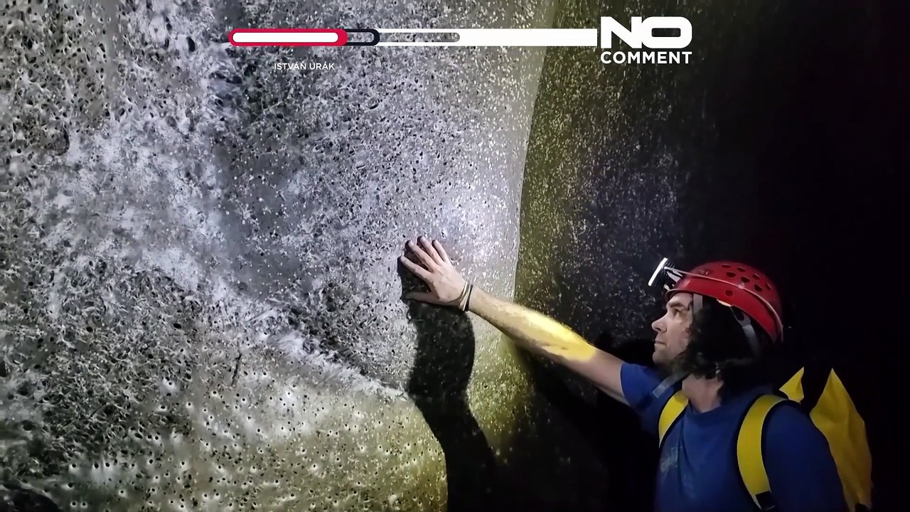 Forscher entdecken Riesenspinne „Megacity“ in Höhle an der albanisch-griechischen Grenze