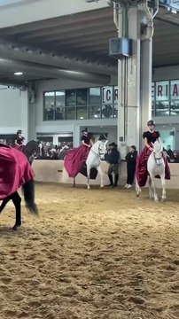 Zaia - I momenti più belli della terza giornata di Fieracavalli (08.11.25)