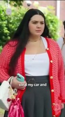 The Queen Bee Strikes Back ReelShort