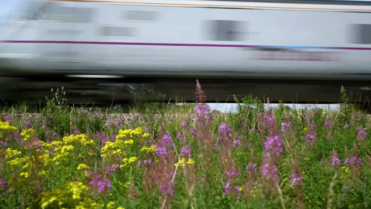 History of Railways_3of3