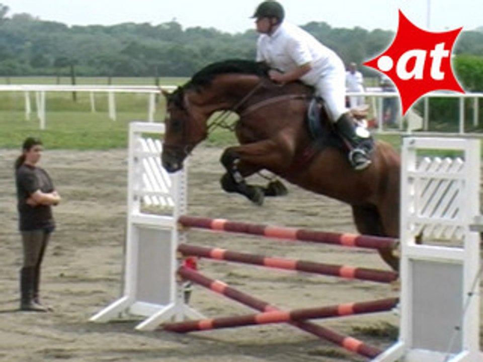 Erich Holzinger, Springreiten, Kottingbrunn (2008-010)