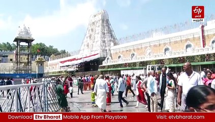 తిరుమల కల్తీ నెయ్యి కేసు - వైవీ సుబ్బారెడ్డి పాత్ర అనుమానాస్పదంగా ఉందన్న సిట్