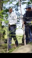 [Doblado ESP] El Ajustador en Español