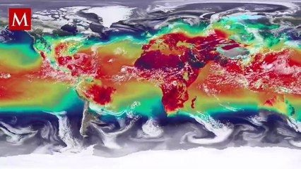 ¿Arrecifes “refugio” bajo amenaza? El blanqueamiento por frío también acecha