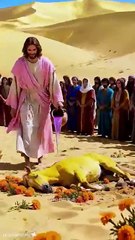 ✨ 💖 The light of God shine on us ☀️🙌#deus #jesus #bible #amen #prayer #shorts#trending #viral #explore #explorepage #foryou #fyp #dailymotion #shorts #reelvideo #newvideo #mustwatch #funnyvideo #entertainment #dailytrend #todaytrend #viralvideo #trendin