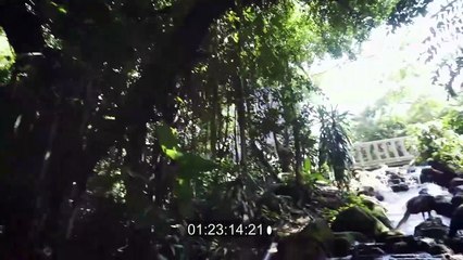 L’ART TRADITIONNEL DU SILAT  (version Français)