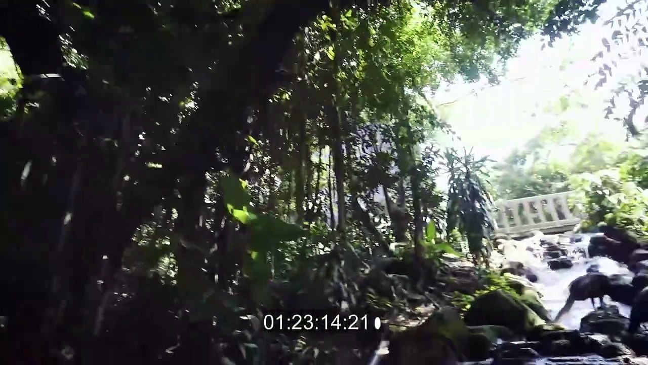 L’ART TRADITIONNEL DU SILAT  (version Français)