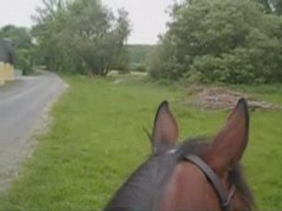 Gitbal9mai