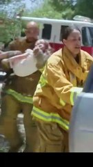 El Arrepentimiento es el Castigo en Español