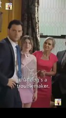 Mr Hills' Adorable Wife Full Movie