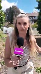 Backstage: Pregnant by My Ex's Professor Dad | Jesse Morales and Tess Dinerstein | ReelTalk EP 34