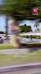 Dungeons of Ecstasy EP1-7 | ReelShort